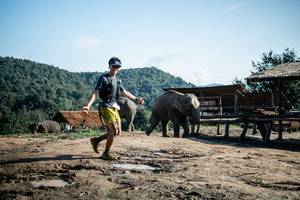 BIB: 
                            <button type="button" onclick="openModal(22423595)" class="btn btn-primary btn-sm float-right btn-popup" data-toggle="modal" data-target=".modal-high-quality">
                        <i class="fas fa-shopping-cart"></i> Add to Cart
                    </button>
                                            <button type="button" onclick="isThisMe(22423595, true)" class="btn btn-success btn-sm float-right btn-popup btn-isme hidden" data-toggle="tooltip" data-placement="bottom" title="นี่คือรูปของคุณใช่ไหม คลิกที่นี่เพื่อเอาเข้าอัลบั้ม">
                        <i class="fas fa-plus"></i> Add to album
                    </button>
                    <button type="button" onclick="isThisMe(22423595, false)" class="btn btn-warning btn-sm float-right btn-popup btn-isnotme hidden">
                        <i class="fas fa-ban"></i> Remove from album
                    </button>